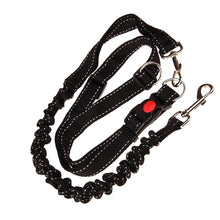Alternate view of the Cani-Hiking Bungee Leash