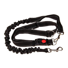 Cani-Hiking Bungee Leash, product photo 3 of 7