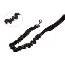 Cani-Hiking Bungee Leash, product photo 6 of 7