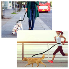 Cani-Hiking Bungee Leash, product photo 7 of 7