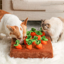 Carrot Plush Dog Toy, product photo 4 of 7