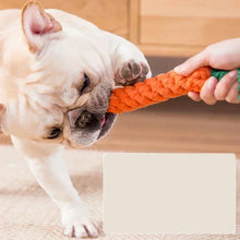 Carrot Rope Chew Toy for Dogs, product photo 3 of 7