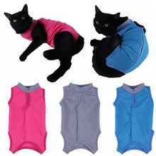 Cat Neutering Suit, product photo 8 of 8