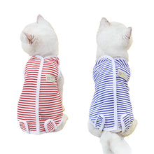 Alternate view of the Cat Recovery Clothes
