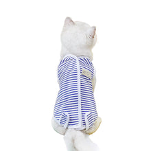 Cat Recovery Clothes in Blue