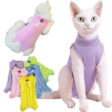 Cat Recovery Vest