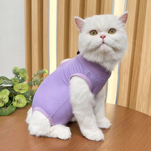 Cat Recovery Vest, product photo 6 of 8