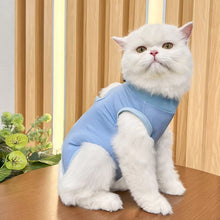 Cat Recovery Vest in Blue
