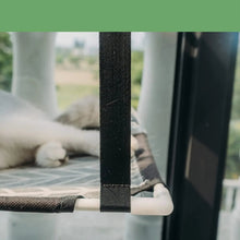 Cat Window Perch for Sunny Rest, product photo 10 of 12