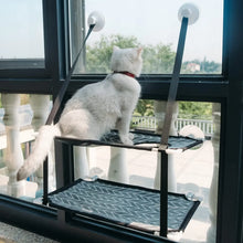 Cat Window Perch for Sunny Rest, product photo 7 of 12