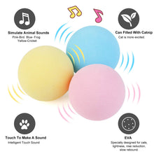Catnip Cat Toy Ball with Sound, product photo 14 of 23