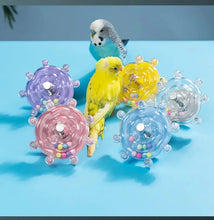 Cheeky Bird Cage Toy, product photo 9 of 11