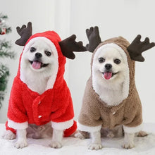 Dog wearing Christmas reindeer pet costume