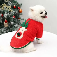 Christmas pet costume with red and green holiday styling