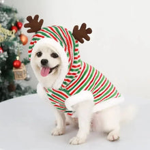 Small white dog in a festive Christmas hoodie with reindeer antlers