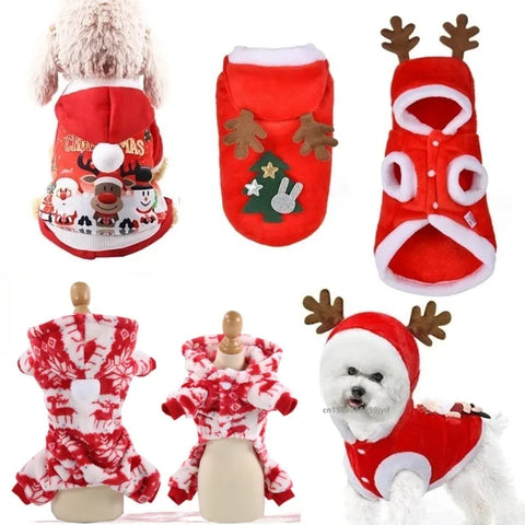 Christmas Dog Santa Outfit Jacket
