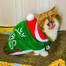 Christmas Hooded Sweater for Sphynx Cats Winter Costume, product photo 15 of 23