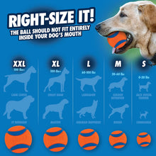 Chuckit! Ultra Ball Dog Toy, product photo 6 of 6