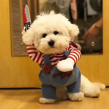 Small dog wearing spooky Halloween character costume