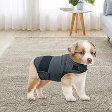 Classic Dog Anxiety Jacket, product photo 4 of 7