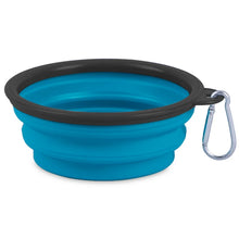Collapsible Pet Silicone Food Water Bowl in Clear