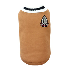 College-Style Turtleneck Pet Sweater in Brown