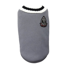 College-Style Turtleneck Pet Sweater in Grey
