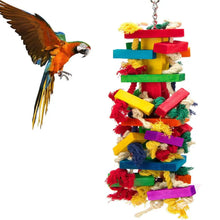 Colourful Bird Toys, product photo 9 of 12