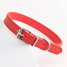 Colourful Leather Collars for Cats, product photo 5 of 22