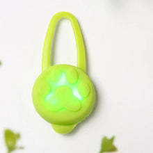 Colourful LED Pet Pendant, product photo 4 of 10