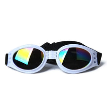 Colourful Pet Glasses, product photo 10 of 12