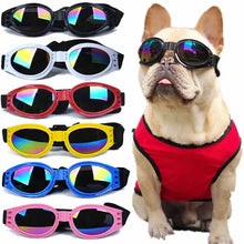 Colourful Pet Glasses, product photo 11 of 12