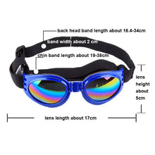 Alternate view of the Colourful Pet Glasses