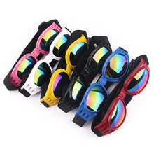 Colourful Pet Glasses, product photo 3 of 12