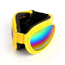 Colourful Pet Glasses, product photo 4 of 12