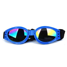 Colourful Pet Glasses, product photo 5 of 12