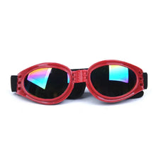Colourful Pet Glasses, product photo 6 of 12