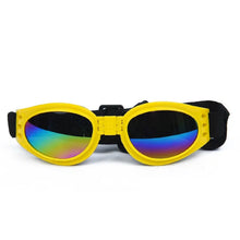 Colourful Pet Glasses, product photo 8 of 12