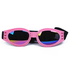 Colourful Pet Glasses in Pink