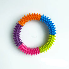 Colourful Ring Puller for Pets in 5-Coloured (14.5cm)