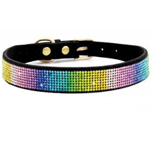 Comfortable Collars for Pets in Black Colourful