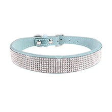 Comfortable Collars for Pets in Light Blue