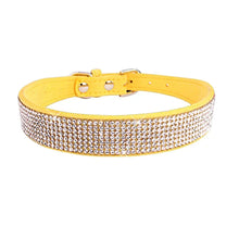 Comfortable Collars for Pets in Yellow
