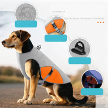 Cooling Vest Dog Harness, product photo 5 of 5