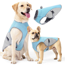 Cooling Vest Dog Harness in Blue