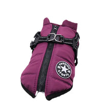 Cosy Dog Jacket for Warmth & Comfort in Purple