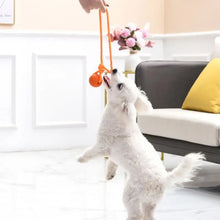 Cotton Rope Dog Training Ball Toy, product photo 9 of 11