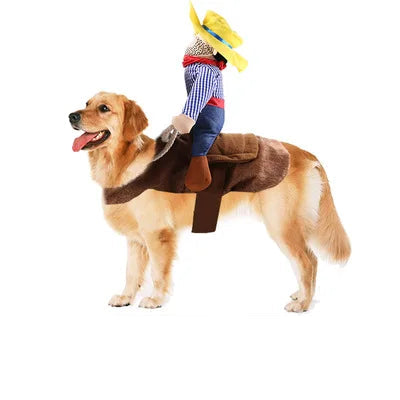 Dog wearing funny cowboy riding costume