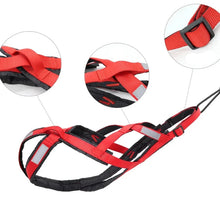 Crisscross Dog Harness, product photo 5 of 9