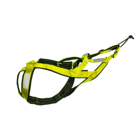Crisscross Dog Harness in Green